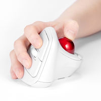 ナカバヤシ 無線静音 エルゴノミクストラックボールマウス 5ボタン 光学式 ホワイト MUS-TRKF248W 1個（直送品）