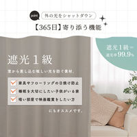 サンローズ 4枚組 カーテン レースカーテンセット レイトン 1000×850mm グレージュ 1セット(4枚入)（直送品）