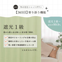 サンローズ 4枚組 カーテン レースカーテンセット レイトン 1000×2100mm グリーン 1セット(4枚入)（直送品）