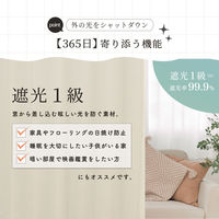 サンローズ 4枚組 カーテン レースカーテンセット レイトン 1000×1350mm ライトベージュ 1セット(4枚入)（直送品）