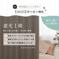 サンローズ 4枚組 カーテン レースカーテンセット レイトン 1000×1950mm ブラウン 1セット(4枚入)（直送品）