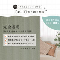 サンローズ 4枚組 カーテン レースカーテンセット トラビス 1000×850mm グリーン 1セット(4枚入)（直送品）