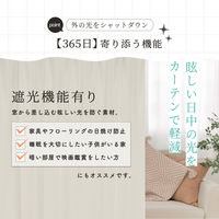 サンローズ 4枚組 カーテン レースカーテンセット デリス 1000×850mm アイボリー 1セット(4枚入)（直送品）