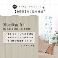 サンローズ 4枚組 カーテン レースカーテンセット デリス 1000×850mm グレージュ 1セット(4枚入)（直送品）