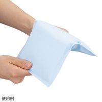 アズワン 冷たすぎない保冷剤 レギュラー NTCレギュラー 1個 8-974-02（直送品）