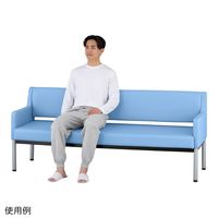 アズワン ロビーベンチ(両端ひじ置き付)1200×610×420×760mm グレープ ARES1200-V 1台 9-1550-04（直送品）