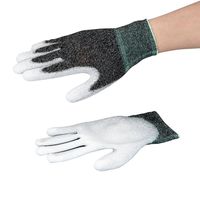 アズワン 制電手袋 導電性タイプ 手の平コート L 1袋(10双入) APCC-3-L 1袋(10双) 4-7133-02（直送品）