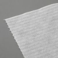 アズワン クリーンワイプ ドライシート(ロールタイプ)200×300mm 1ロール(150枚入) dw200-tm 1ロール(150枚)（直送品）