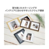 ハクバ写真産業 SQ額 テトラ L2面 ブラック FSQTT-BKL2 1個 64-8898-50（直送品）