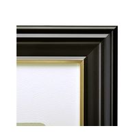 ハクバ写真産業 ハクバ 肖像額縁 入山 太子判サイズ 無反射PET FWIY-TBP 1個 68-5154-60（直送品）