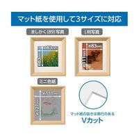 ハクバ写真産業 ミニ色紙額 ナチュラル FWMSG-01NT 1個 65-8888-44（直送品）