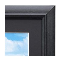 ハクバ写真産業 モクセイガク ブラック W4 FW-4-BKW4 1個 68-5236-32（直送品）