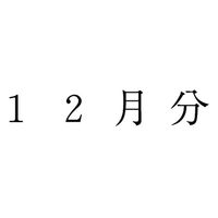 サンビー 勘定科目印 単品 【12月分】 KS-003-876 1セット(1個×5)（直送品）
