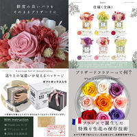 大河商事 透明感あふれるプリザーブドフラワー ルビーレッド bon030_rd 1個（直送品）