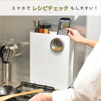 大河商事 Pitally スリム調味料ストッカー 2段式 幅10cm コンロ横収納 Pitally002 1台（直送品）