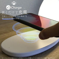 大河商事 ヒーリングLEDライト 鳥型 Qi充電対応 ホワイト wasser63_wh 1個（直送品）