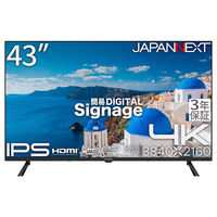 JAPANNEXT 【スタンドセット】43インチワイド 4K液晶モニター スタンドセット JN-HDR432IPSUMJRF 1台（直送品）