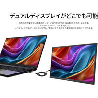 JAPANNEXT 21.5インチ ワイド モバイルディスプレイ JN-MD-V215F-N 1台（直送品）