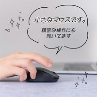 ナカバヤシ 無線静音 軽量ミニマウス 3ボタン BlueLED ブラック MUS-RKT249BK 1個（直送品）