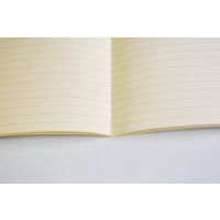 ライフ N80 ピスタチオ横罫 1セット(5冊)（直送品）