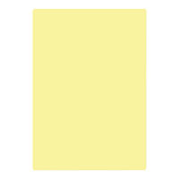 共栄プラスチック 軟質 下敷き 透明カラーのしっかりシタ字キ A4 パイン TCS-A4-PI 1セット(1枚×2)（直送品）