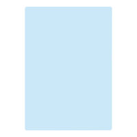 共栄プラスチック 軟質 下敷き 透明カラーのしっかりシタ字キ A4 ソーダ TCS-A4-SO 1セット(1枚×2)（直送品）