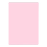 共栄プラスチック 軟質 下敷き 透明カラーのしっかりシタ字キ A4 さくらんぼ TCS-A4-CH 1セット(1枚×2)（直送品）