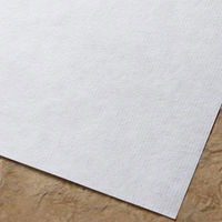 大直 熱ピタ画仙紙 100枚入 葉書サイズ(100×148mm) 409210002 1個（直送品）