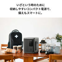 Ecoflow DELTA 3 1000 Air EFD3AIR-JP 1台（直送品）