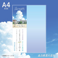 共栄プラスチック そら色したじき A4 SO-A4-01 1枚（直送品）