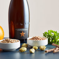 バルセロナNo1ブルワリーDAM社の「イネディット」プレミアムビール 2本　ギフトカード　スタンダード封筒／熨斗（御中元）（直送品）