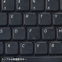 サンワサプライ 英語配列USBスリムキーボード SKB-E2UN 1台