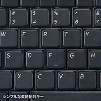 サンワサプライ 英語配列USBスリムキーボード SKB-E3UN 1個