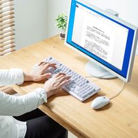 サンワサプライ 日本語109キーボード ホワイト SKB-109PW 1台