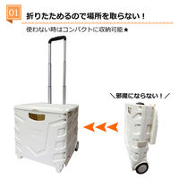 センター商事 キャリーコンテナM 2輪タイプ フタ付き Kー246 BK 1台