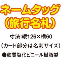 共栄プラスチック ORIONS ネームタッグ 5枚入 グリーン C-80-5-G 1パック(5枚入)