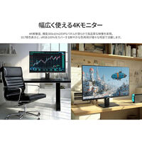 ジャパンネクスト  28インチ ワイド 4K液晶ディスプレイ(3840x2160/DPx2/HDMIx2) JN-IPS28U2-HSP（直送品）