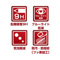 マックスゲームズ NSW2 専用液晶保護フィルム 9H×ブルーライトカット BEEG-05 1枚（わけあり品）