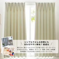 【軒先渡し】マッチングジャパン カーテン市場 防炎、遮光1級カーテン 750×2130mm ホワイト 1枚（直送品）