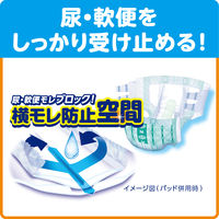 リブドゥコーポレーション リフレ簡単テープ止めタイプ大きめLサイズ 18101 1セット(66枚入：22枚入×3パック)