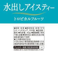 日東紅茶 水出しアイスティートロピカルフルーツ 1袋(10バッグ入) ティーバッグ