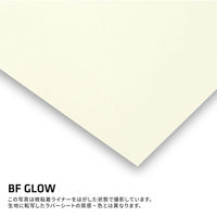 B-FLEX SUPER SPECIAL 蓄光フィルム 443262 1本（直送品）