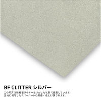 B-FLEX BF GLITTER スムースグリッター加工フィルム 443537 1シート（直送品）