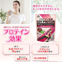 プロテイン効果 森永ココア味 264g 1袋 森永製菓（わけあり品）