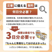【非常食】ピースアップ 3日分(9食)非常食セットA4サイズBOX入り 10001686 1セット（わけあり品）
