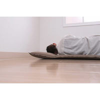 14986（直送品）