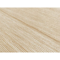 明和グラビア 防滑消臭ペット用廊下敷き BE PRO-0220 1本（直送品）