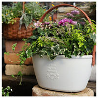 アップルウェアー ワンハンドプランター270型SP ホワイト 4905980116214 1個（直送品）