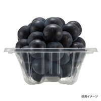 エフピコチューパ フルーツ容器 VFC-6AP CP007477 1ケース(300個(25個×12))（直送品）