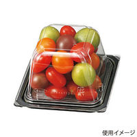 エフピコチューパ フルーツ容器 VF-APダイス 110角 本体.4H(R) CP007484 1ケース(1000個(50個×20))（直送品）